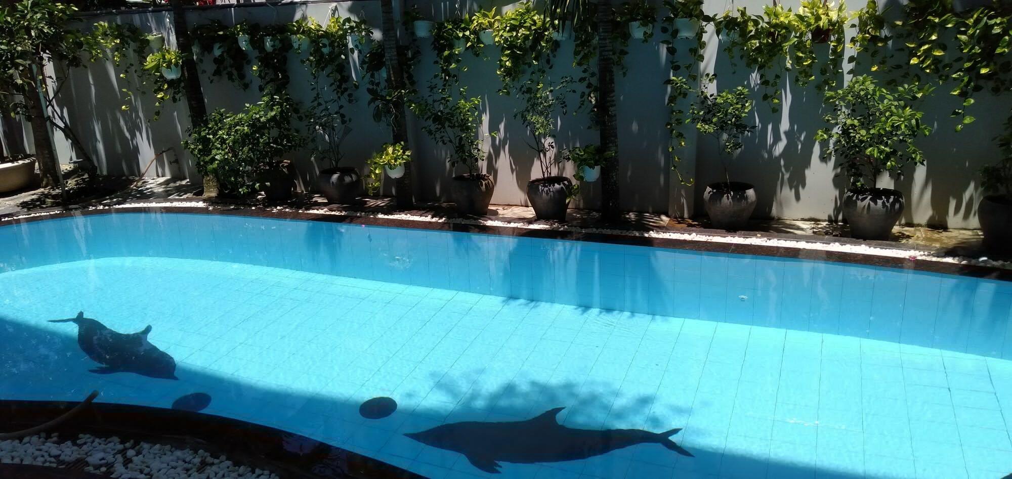 The Moon Villa ฮอยอัน ภายนอก รูปภาพ